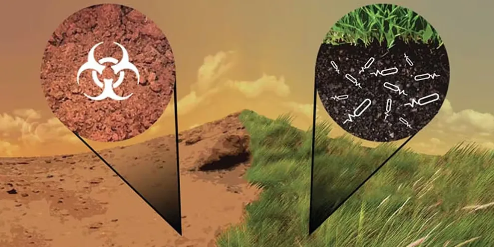 Cyanobacteria can help detoxify the environment on Mars. (NASA/Adam Arkin)