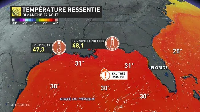CHALEUR2 HUMIDITÉ