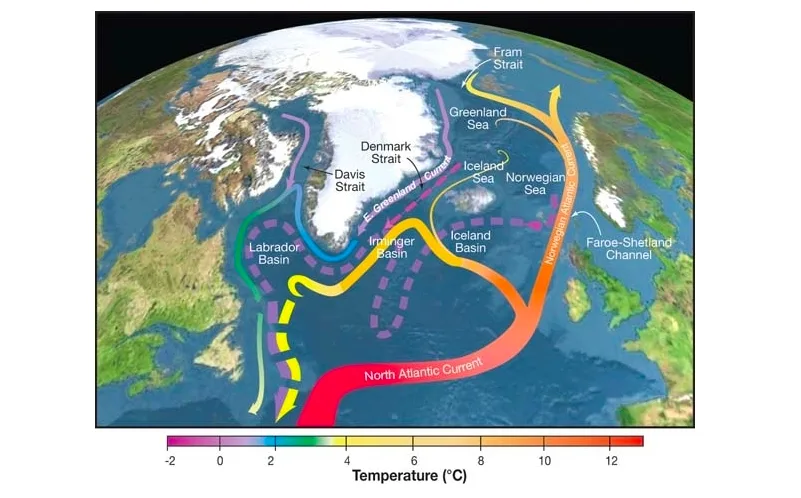 A portion of the Atlantic meridional overturning circulation. (R. Curry, Woods Hole Oceanographic Institution/Science/USGCRP)