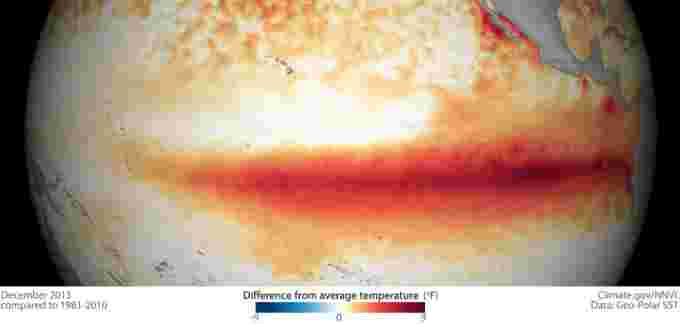 Figure 1 IMAGE - ENSO sea surface temperature anomalies - 012116 - NOAA - 1280x606 - LANDSCAPE