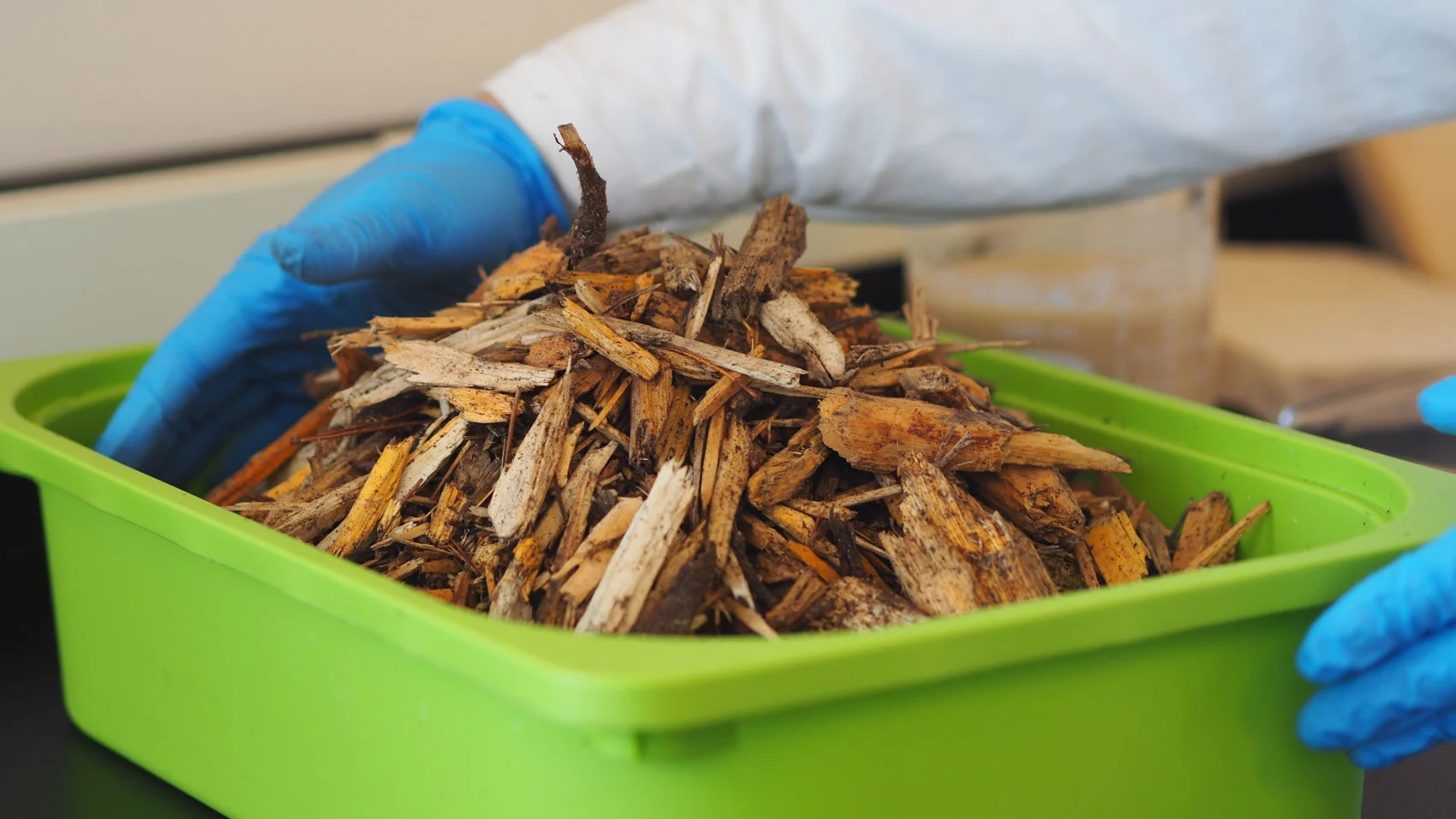 Wood waste used to make the biodegradable foam. (Lou Bosshart/ UBC)