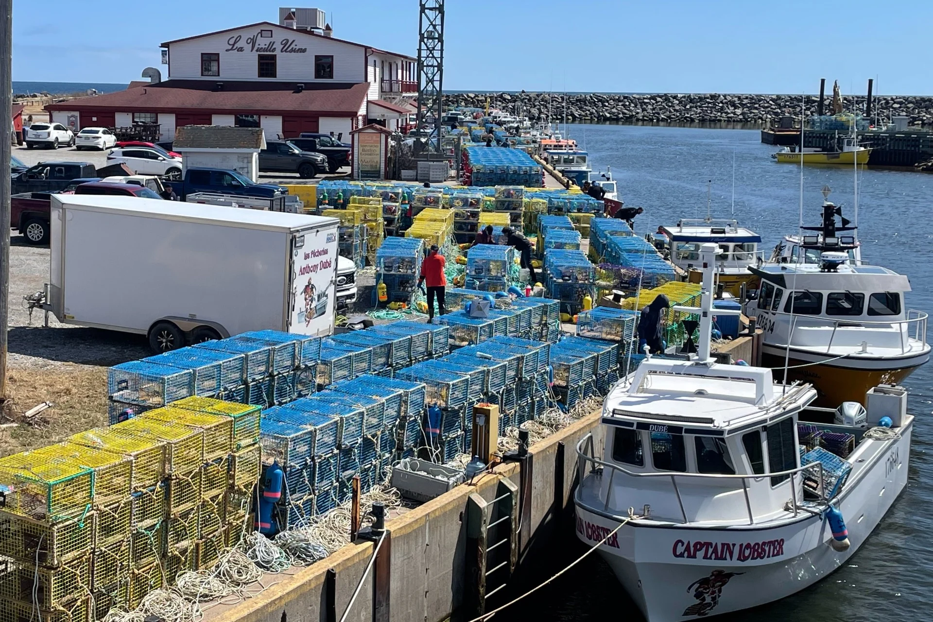 Peche au homard SOURCE : Regroupement des pêcheurs professionnels du sud de la Gaspésie