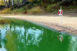 Blue-green algae can have major effects on Canadian lakes