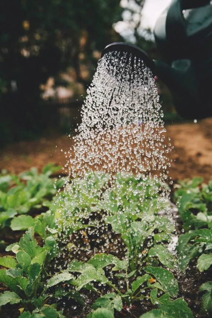 Changements climatiques : la consommation d'eau à grands risques