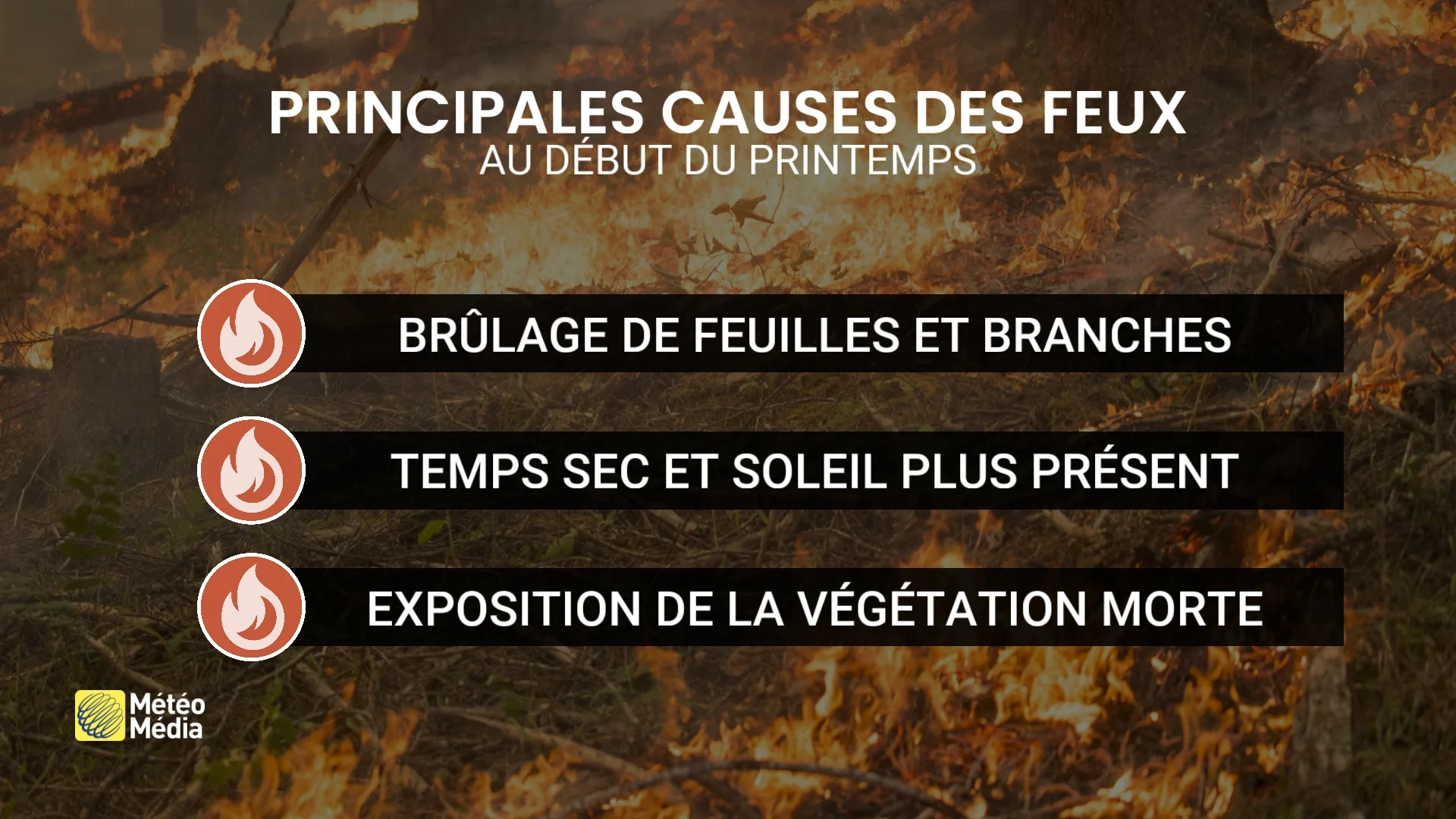 FEU3