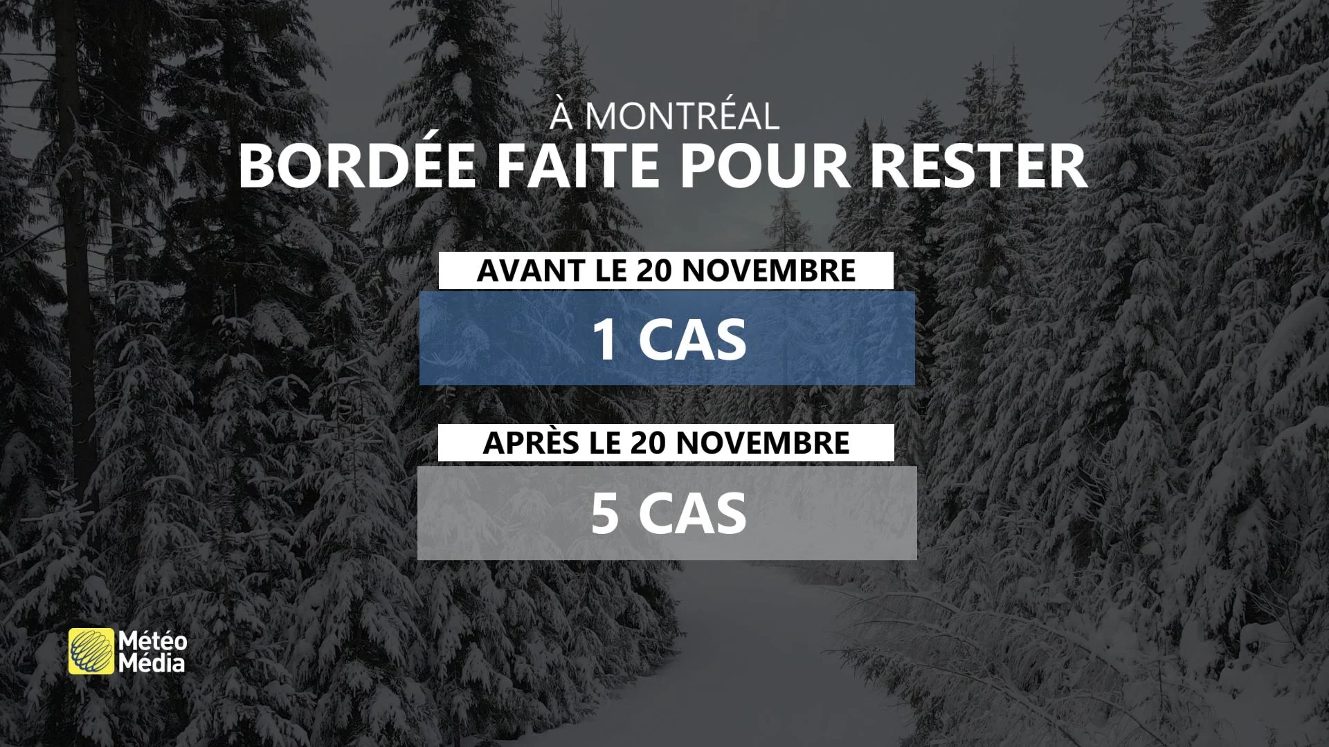 NEIGE DE NOVEMBRE 2