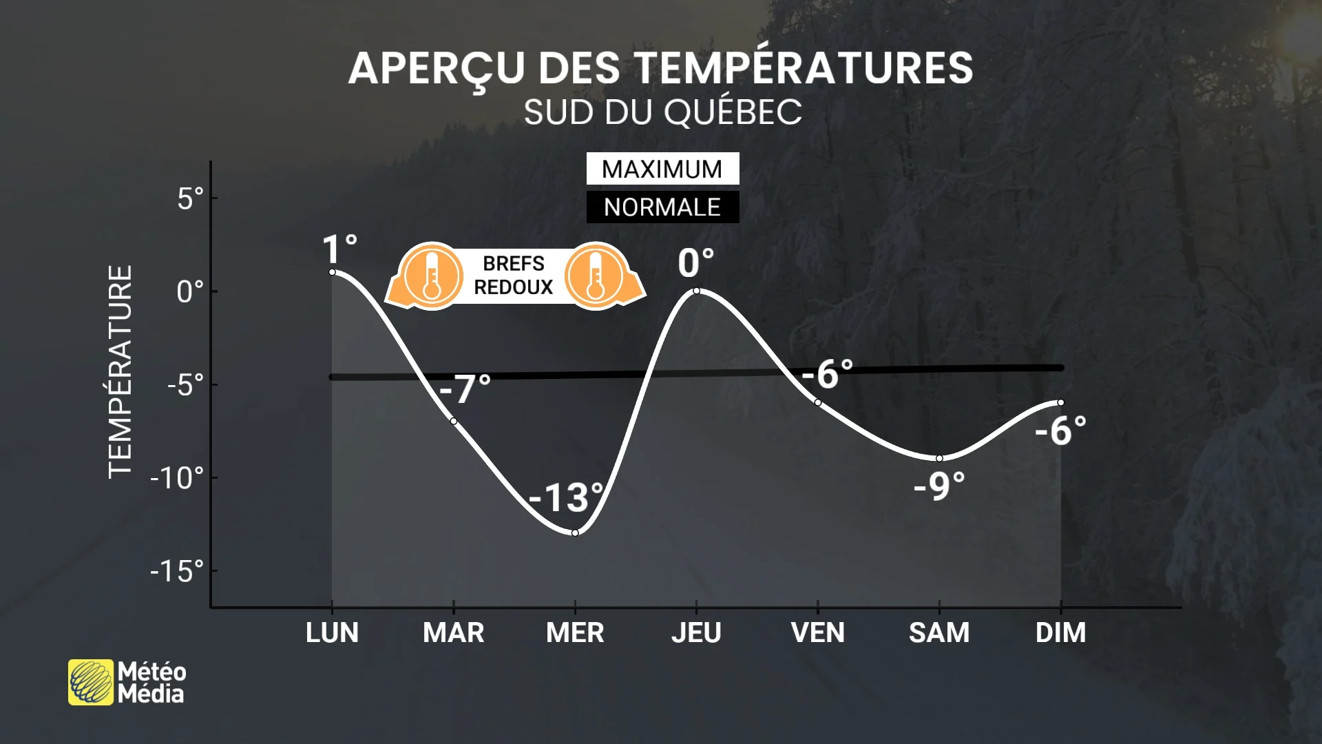 SEMAINE 3