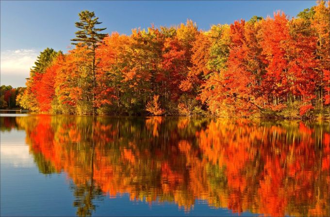 Fall colours/northern Ontario (Crazy Canuck/Twitter)