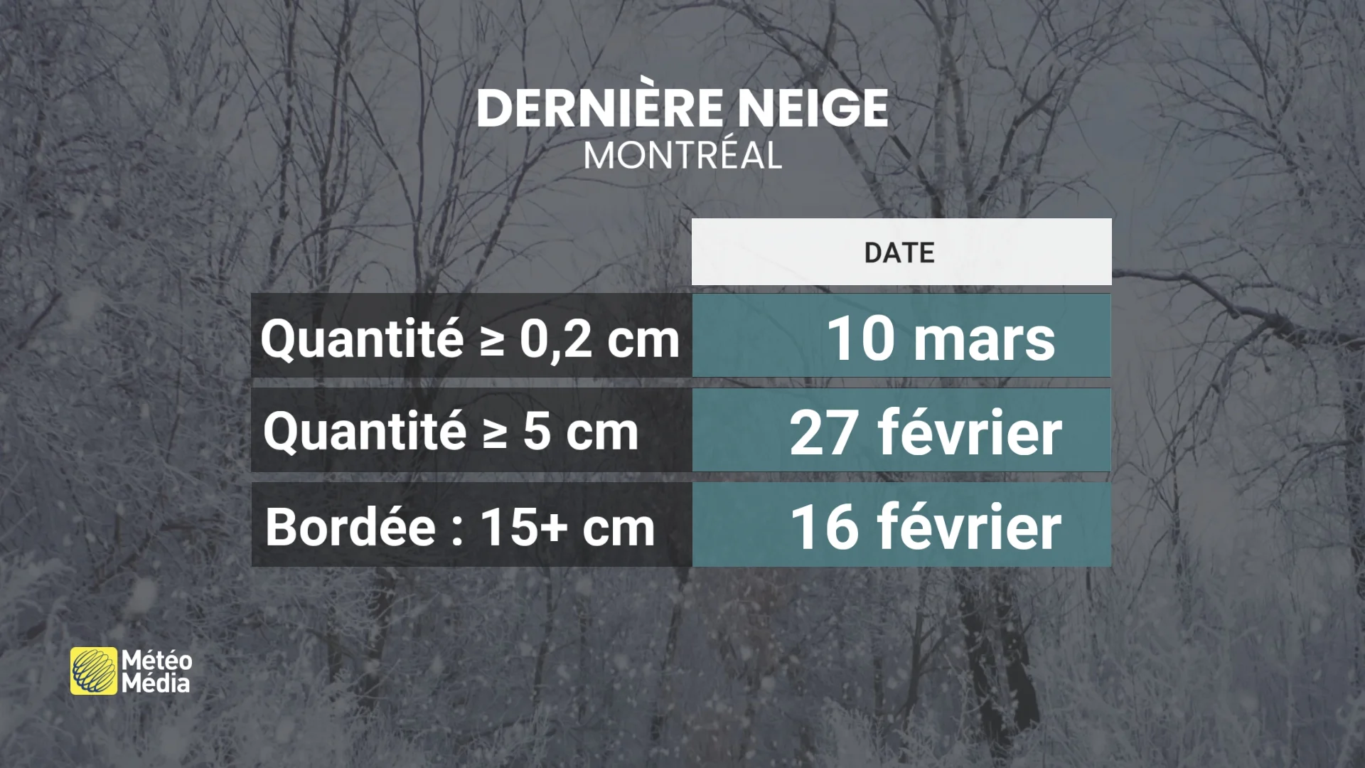 NEIGE1 (1)