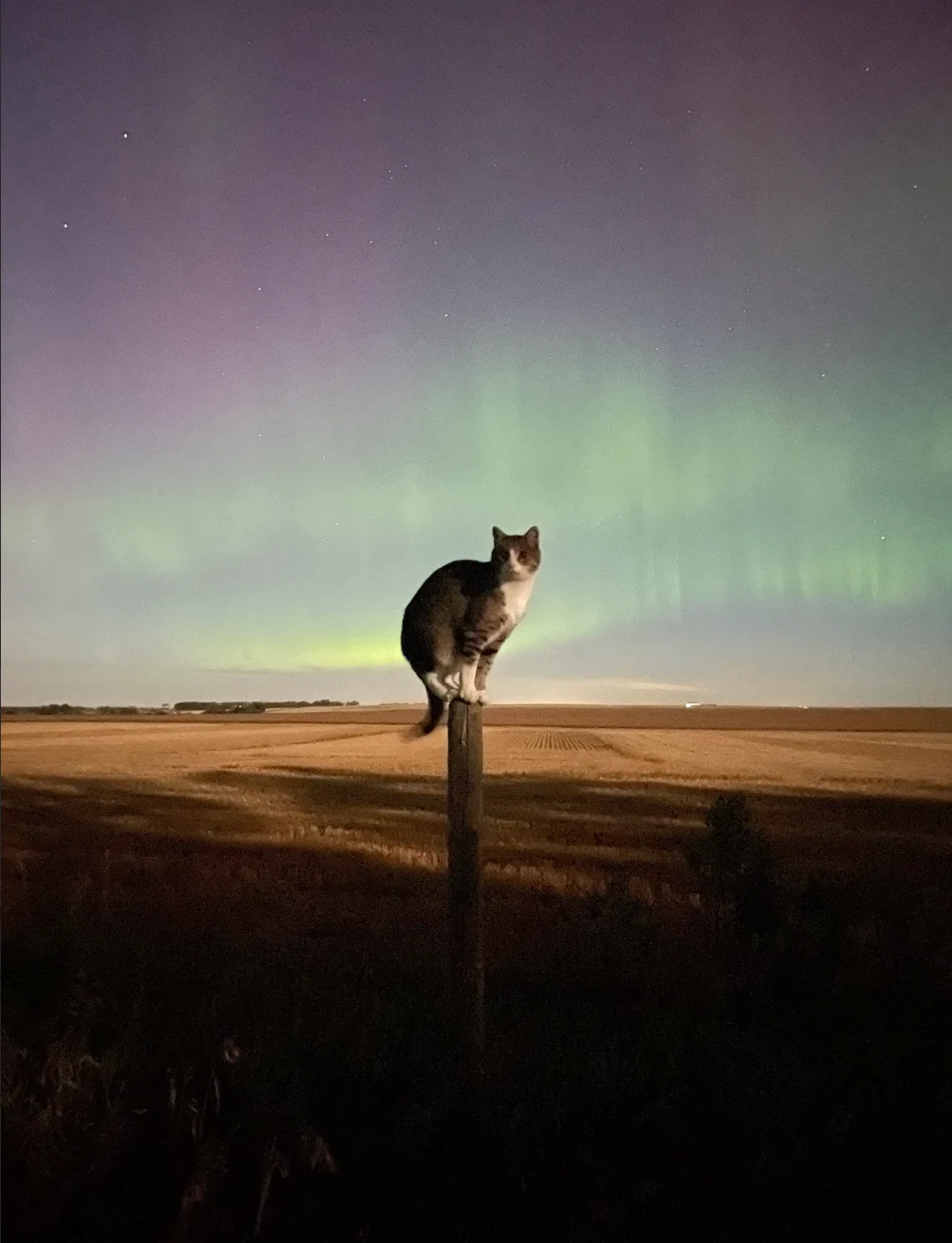 Capturing the northern lights is much simpler than you think