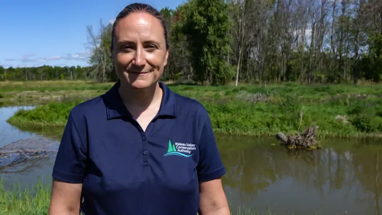 wetlands-habitat-ottawa-wildlife