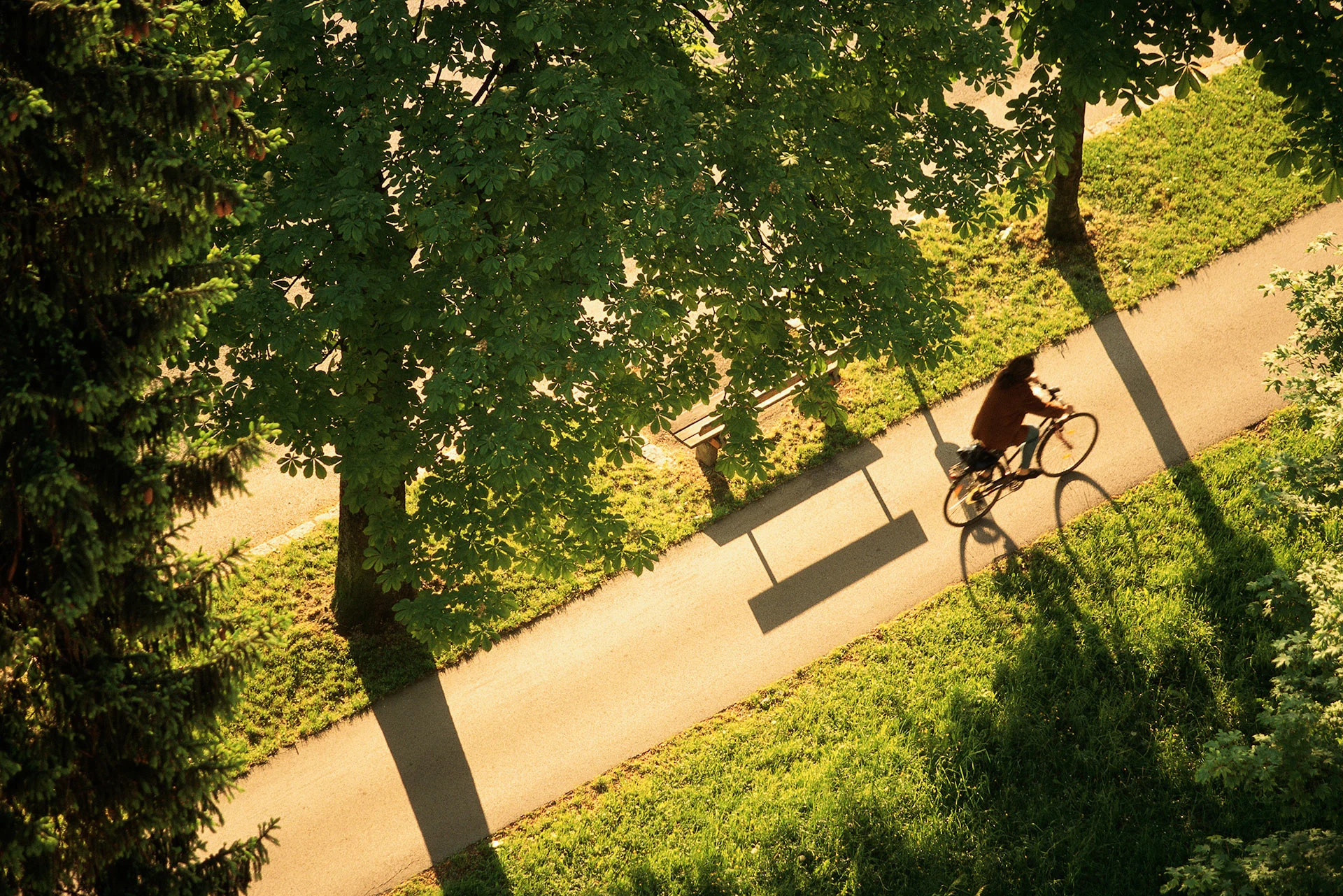 More bike lanes? Canada commits $400M to build sustainable transportation