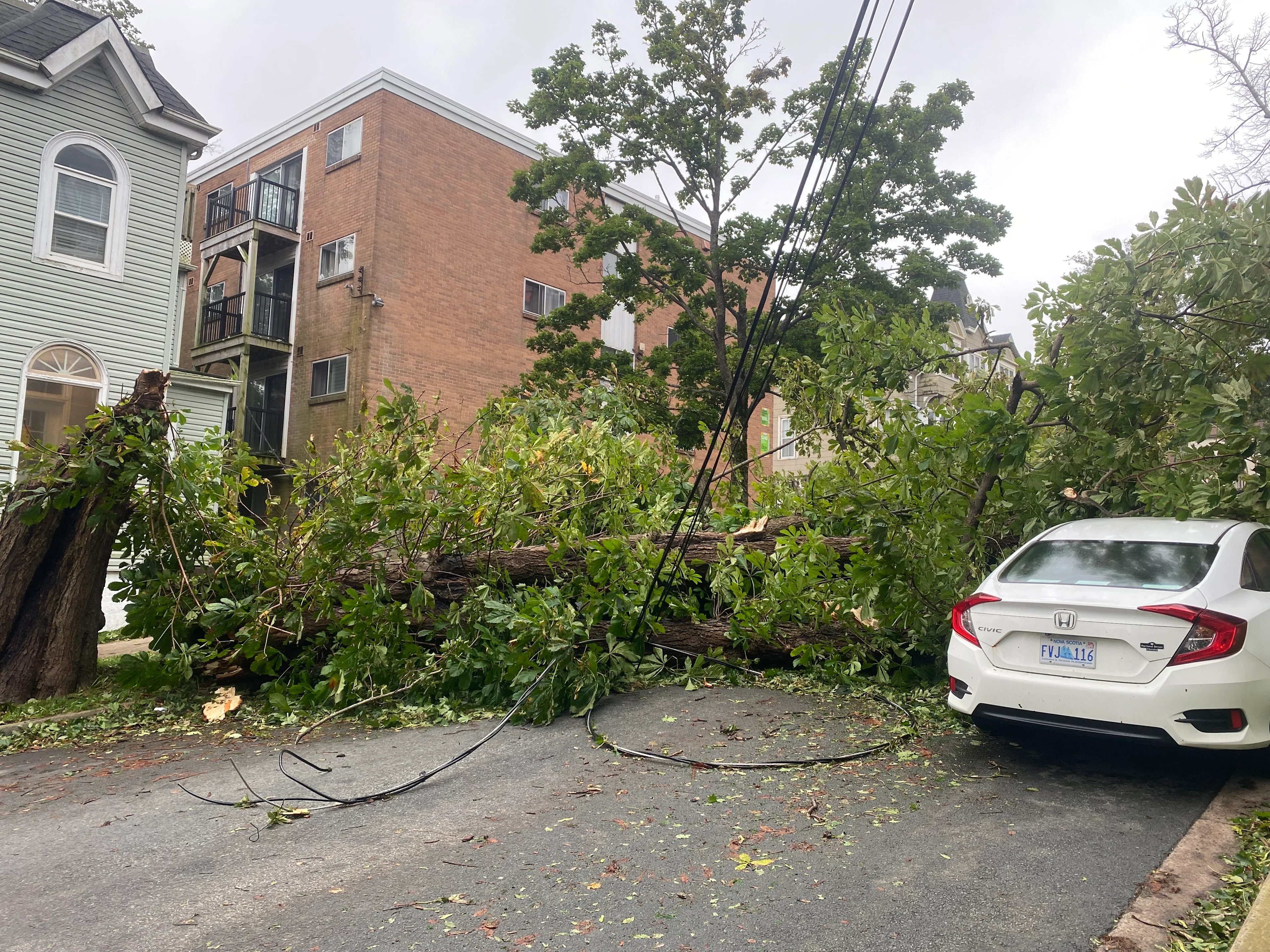 EN IMAGES | 100 000+ pannes, arbres endommagés : la tempête Lee secoue l'est