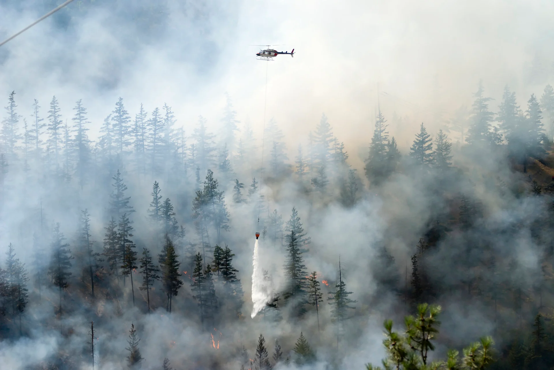 Tracking climate change’s impact on Pacific Northwest’s devastating heat wave