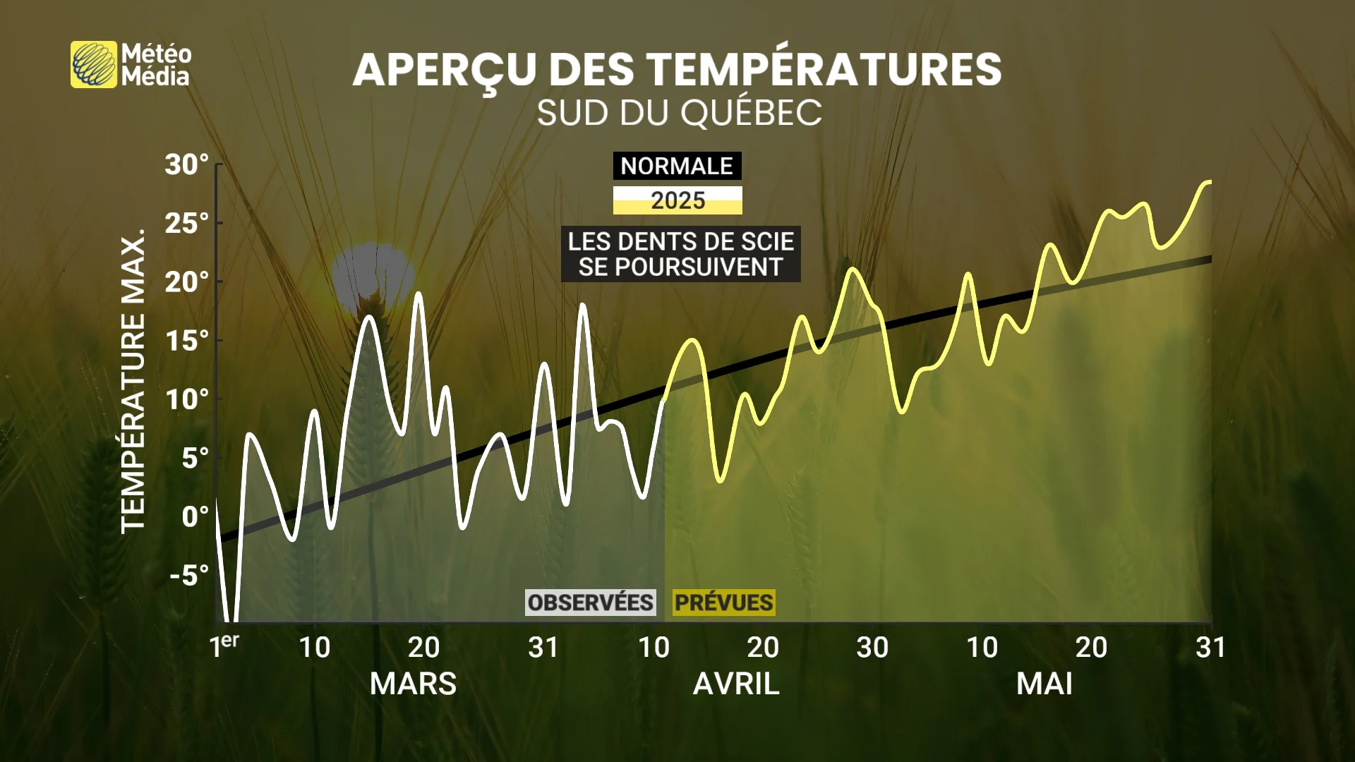 PRINTEMPS TEMP 2