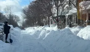 Mégatempête : ils ne savent plus quoi faire avec la neige. Détails ici.