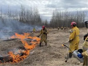 Alberta seeing “heightened wildfire activity”, outpacing 2023 so far