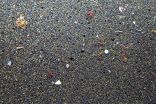 Highest-ever level of microplastics found on seafloor