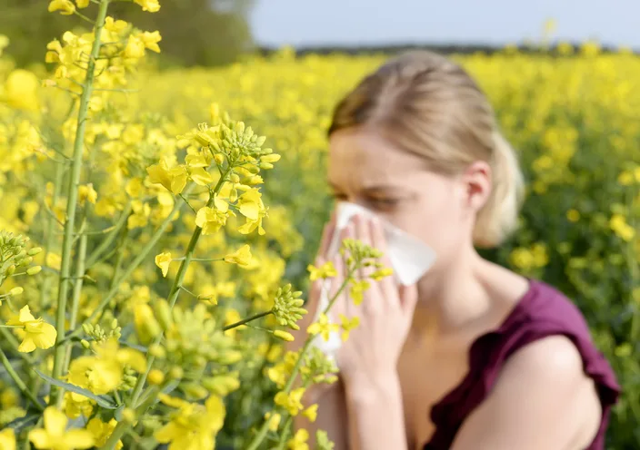 Getty pollen allergy sneezing