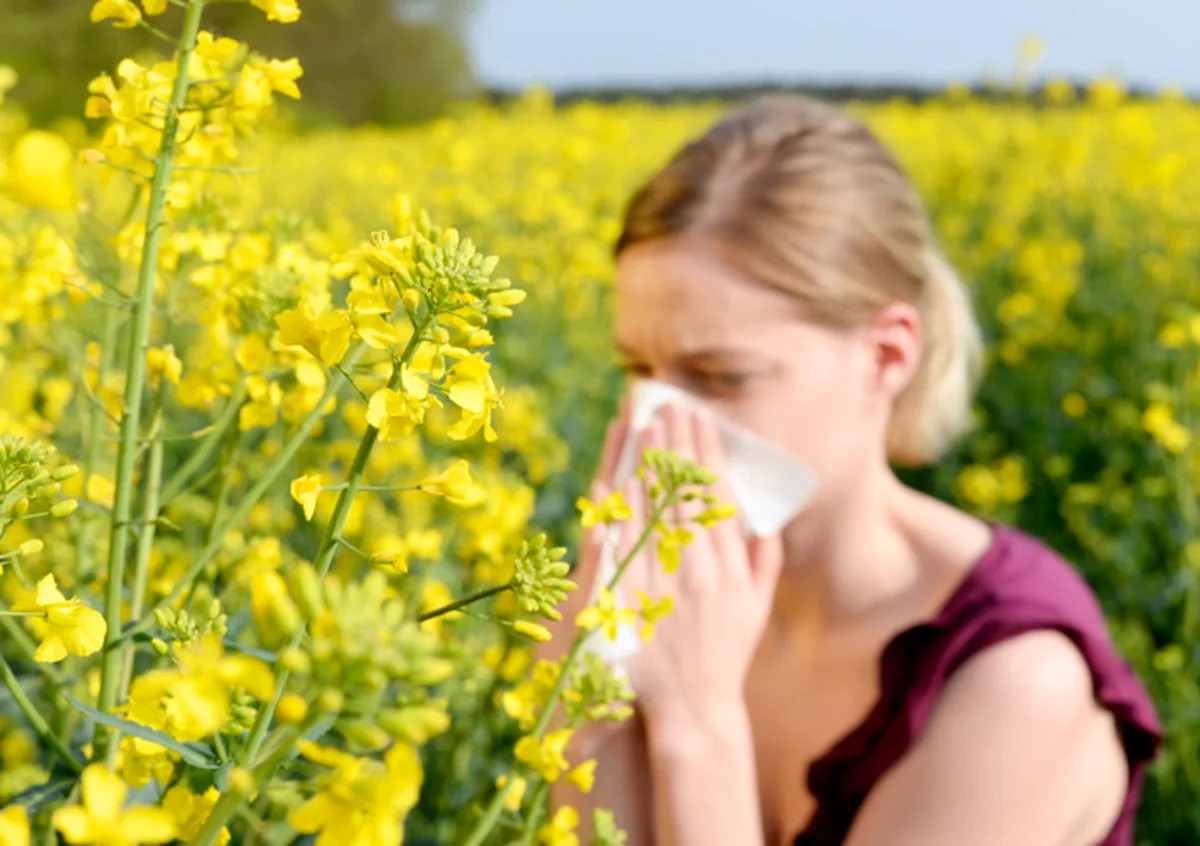 Pollen Report - The Weather Network