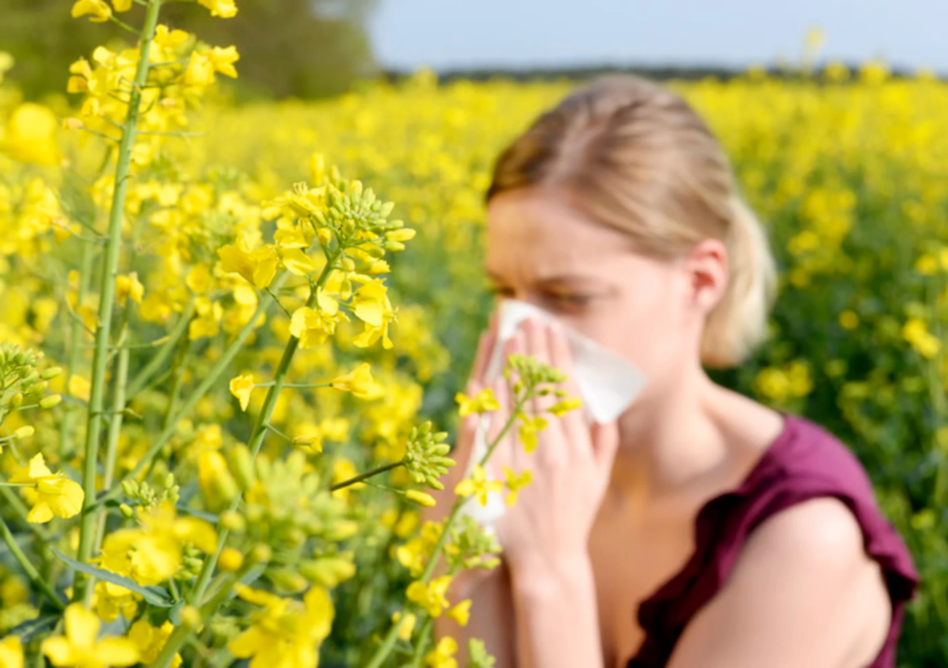 Canada's 2020 Pollen Report: What to expect this allergy season