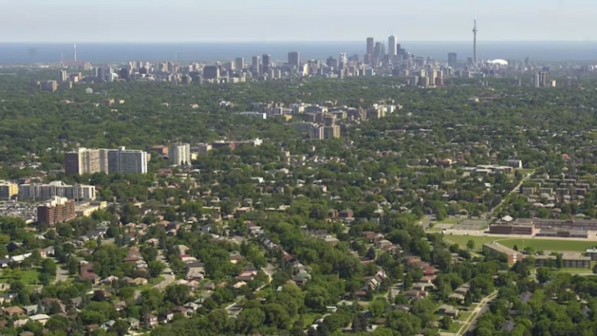 Toronto looks to expand tree canopy with planting on private land