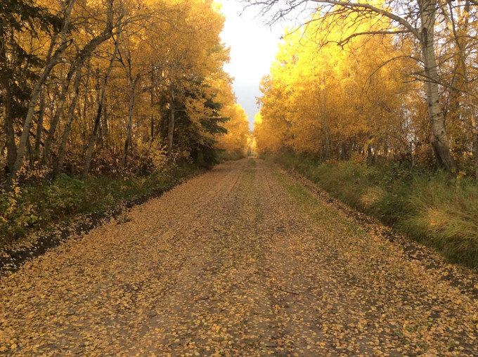 Nature Conservancy of Canada fall site