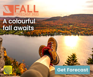 A colourful fall awaits. Read the Fall Forecast by The Weather Network.