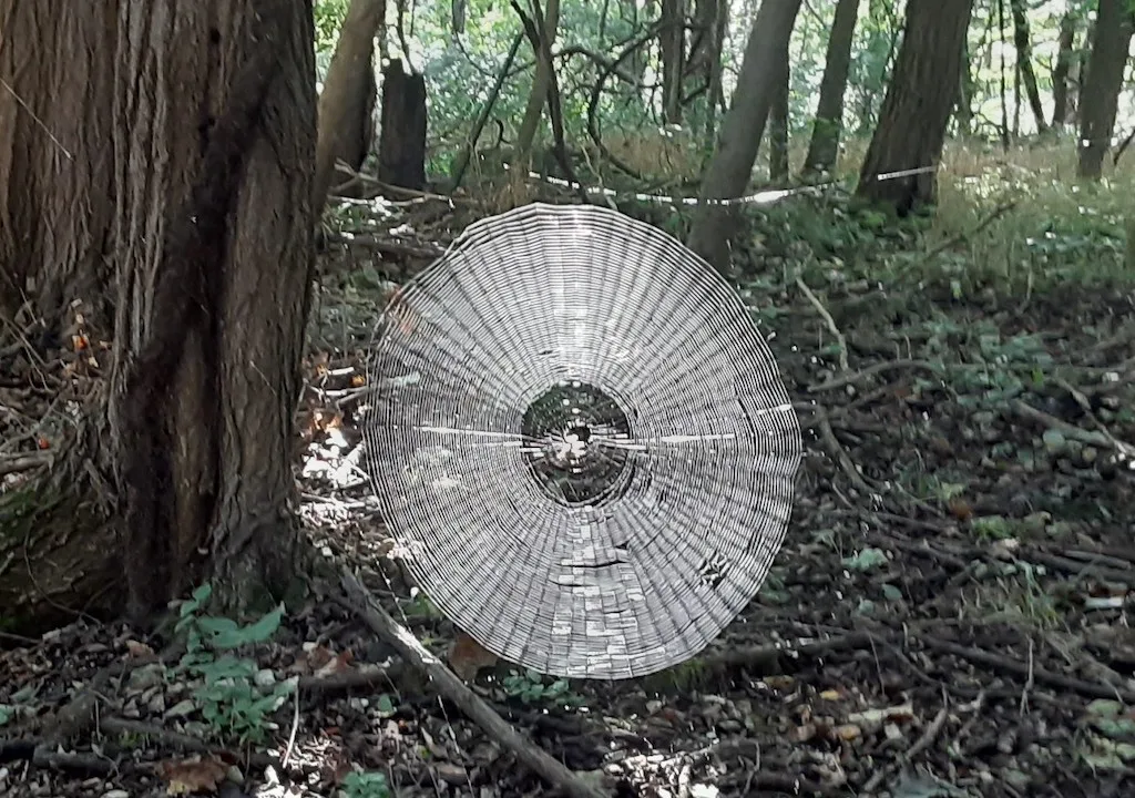 Spooky spiderweb appears big enough to 'catch' a person