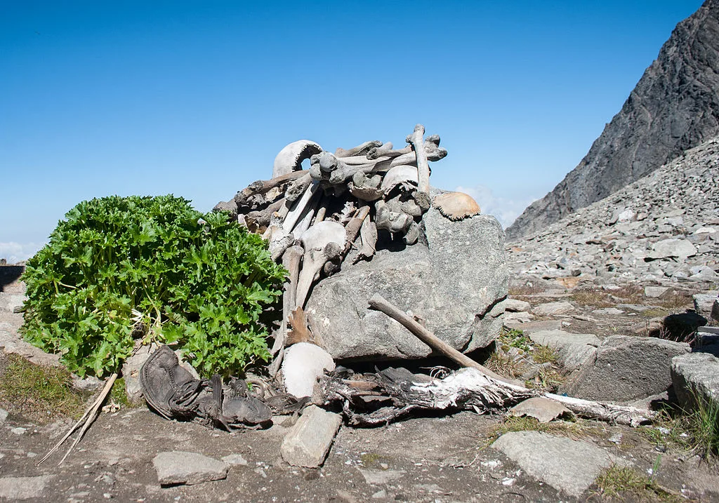 Wikipedia Roopkund Schwiki 2