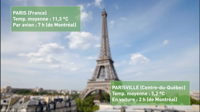 PARISVILLE