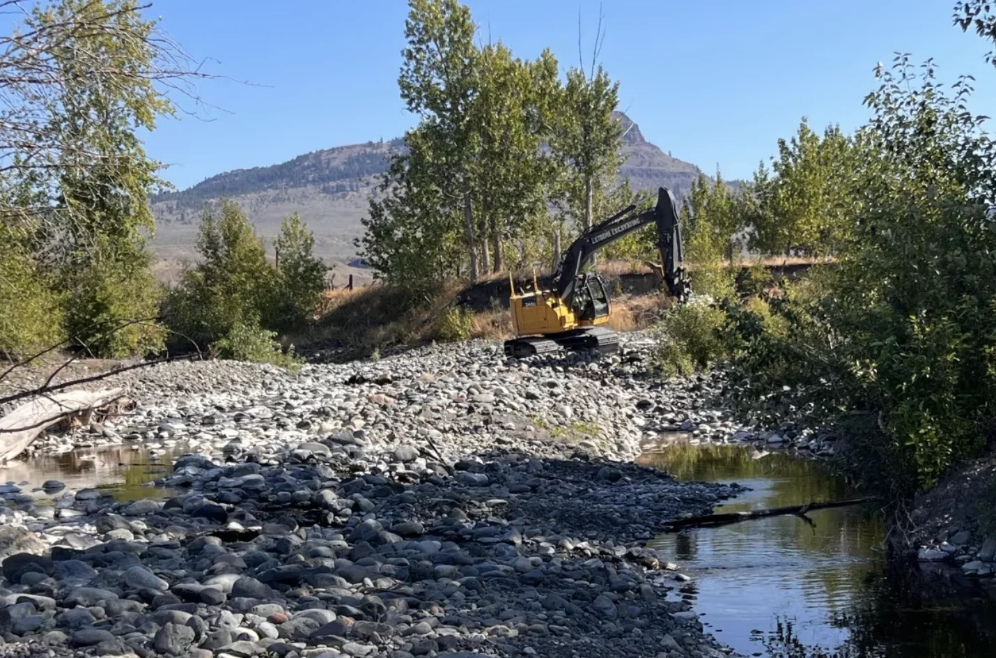 cbc: An excavator works to dig out a new stream bed for salmon to swim in after Tranquille Creek dried up due to drought. (Doug Herbert/CBC News)