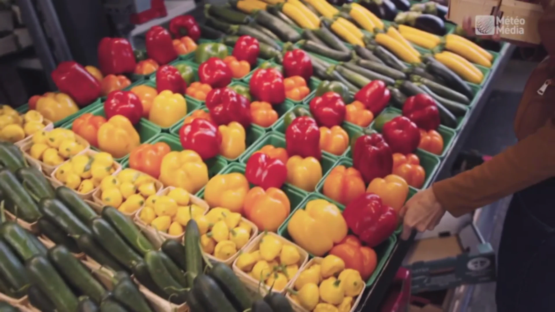  C'est le temps de mettre des couleurs dans votre assiette! 