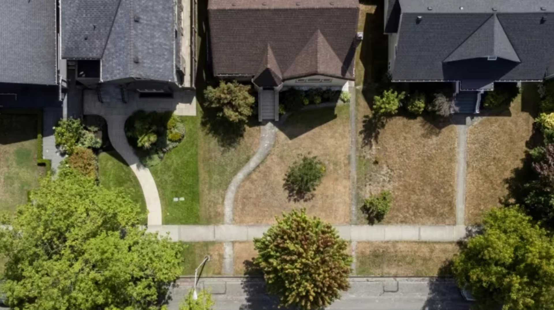 Amid drought, Metro Vancouver residents are showing off their brown lawns