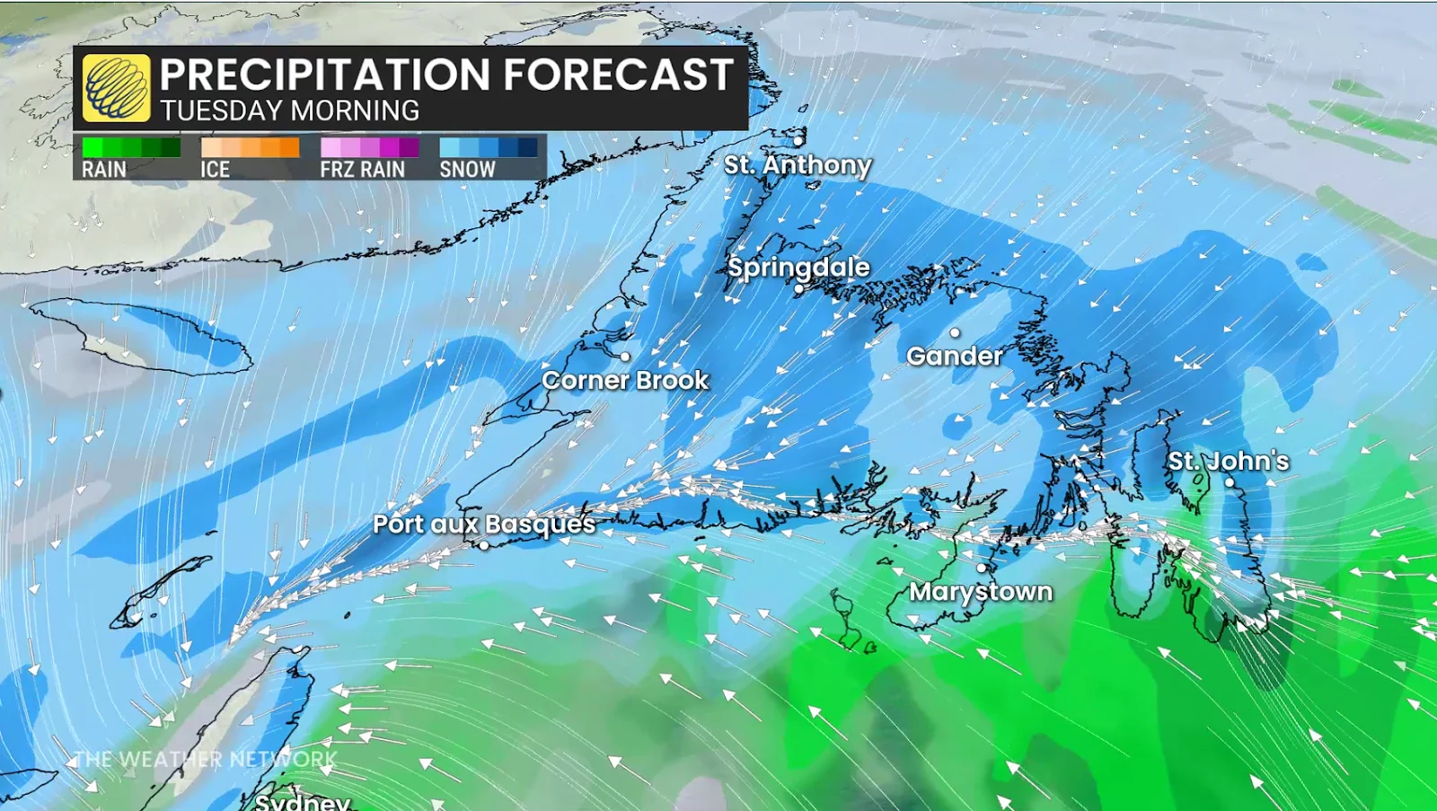 Newfoundland Tuesday morning forecast snow and rain - Feb. 23, 2026