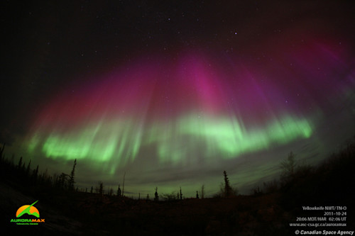 How Auroras Form: Electrons Surf Electromagnetic Waves Toward Earth