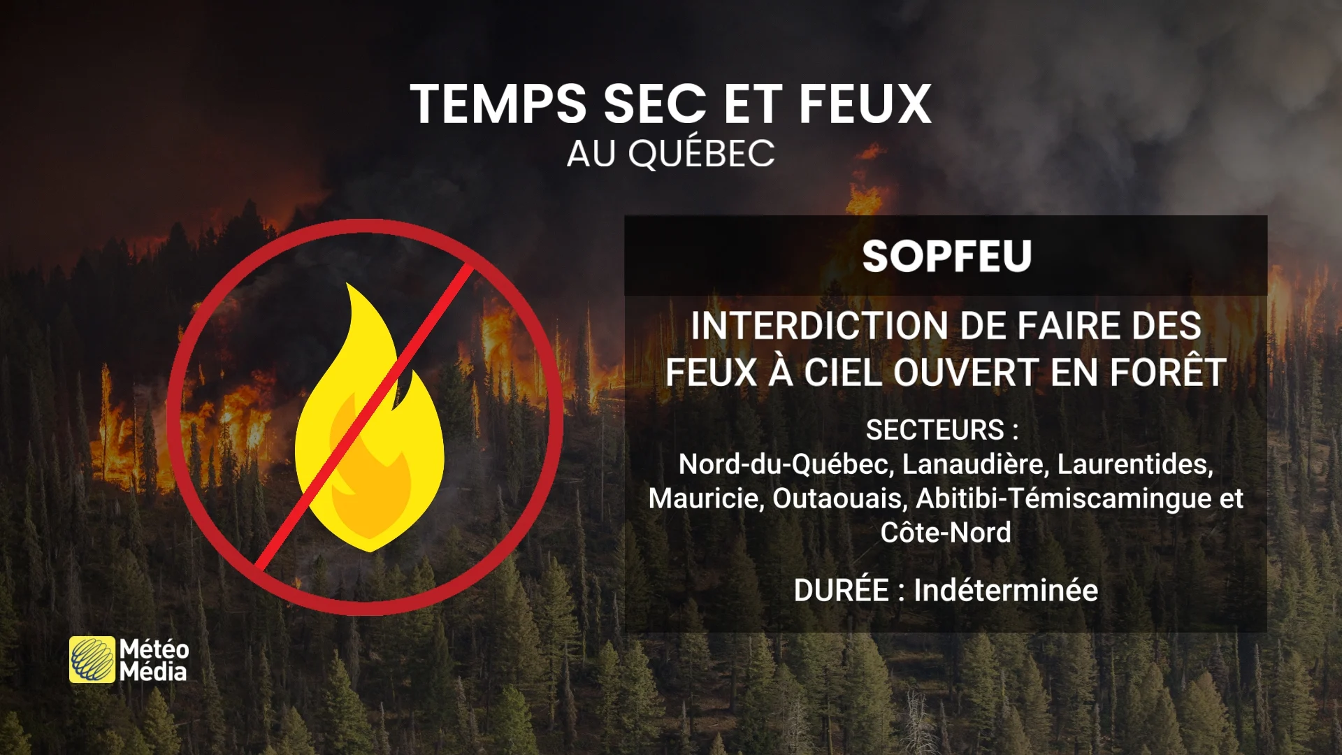Feux