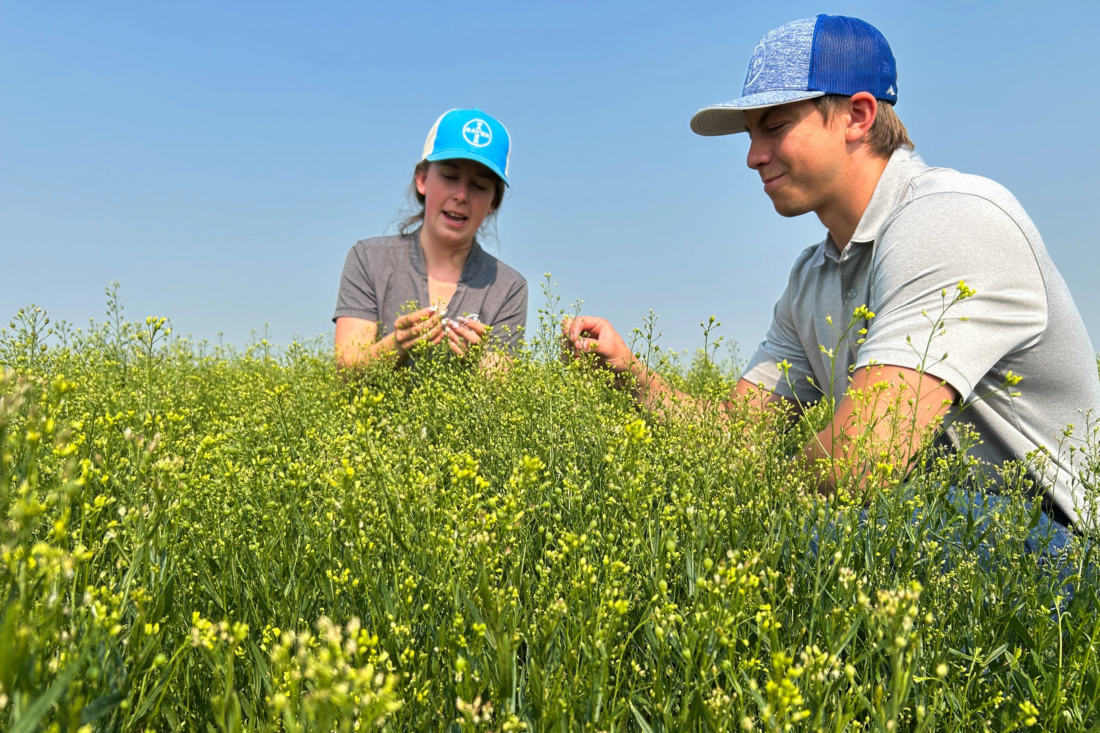  CANADA-AGRICULTURE-CLIMATE-ADAPTATION/REUTERS/Ed White