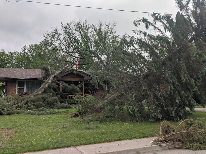 PHOTOS Powerful Ontario storms spawn tornadoes, uproot trees, knocks