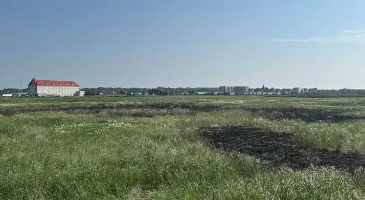 CBC: A burned area of the marsh the day after the fireworks display. (Myriam Breau/Radio-Canada)