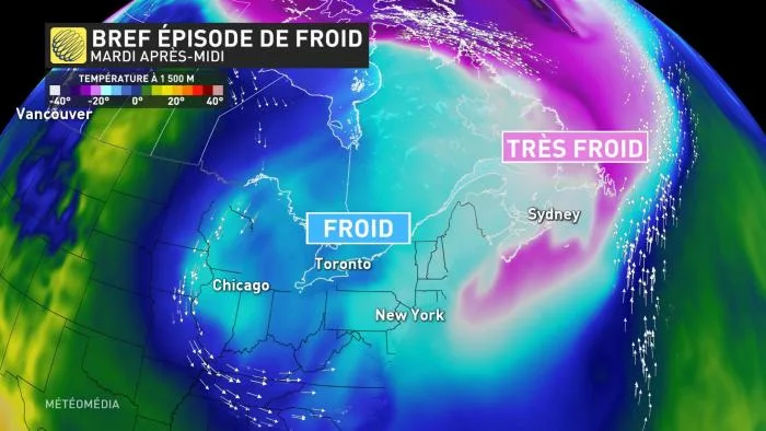 FROID1