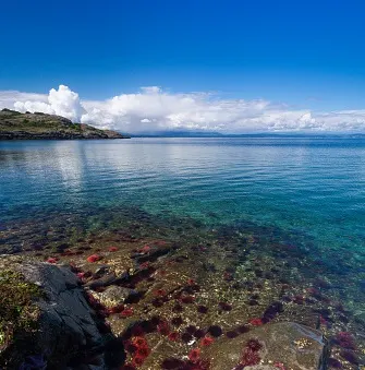 The story behind British Columbia's very own 'desert isle' 