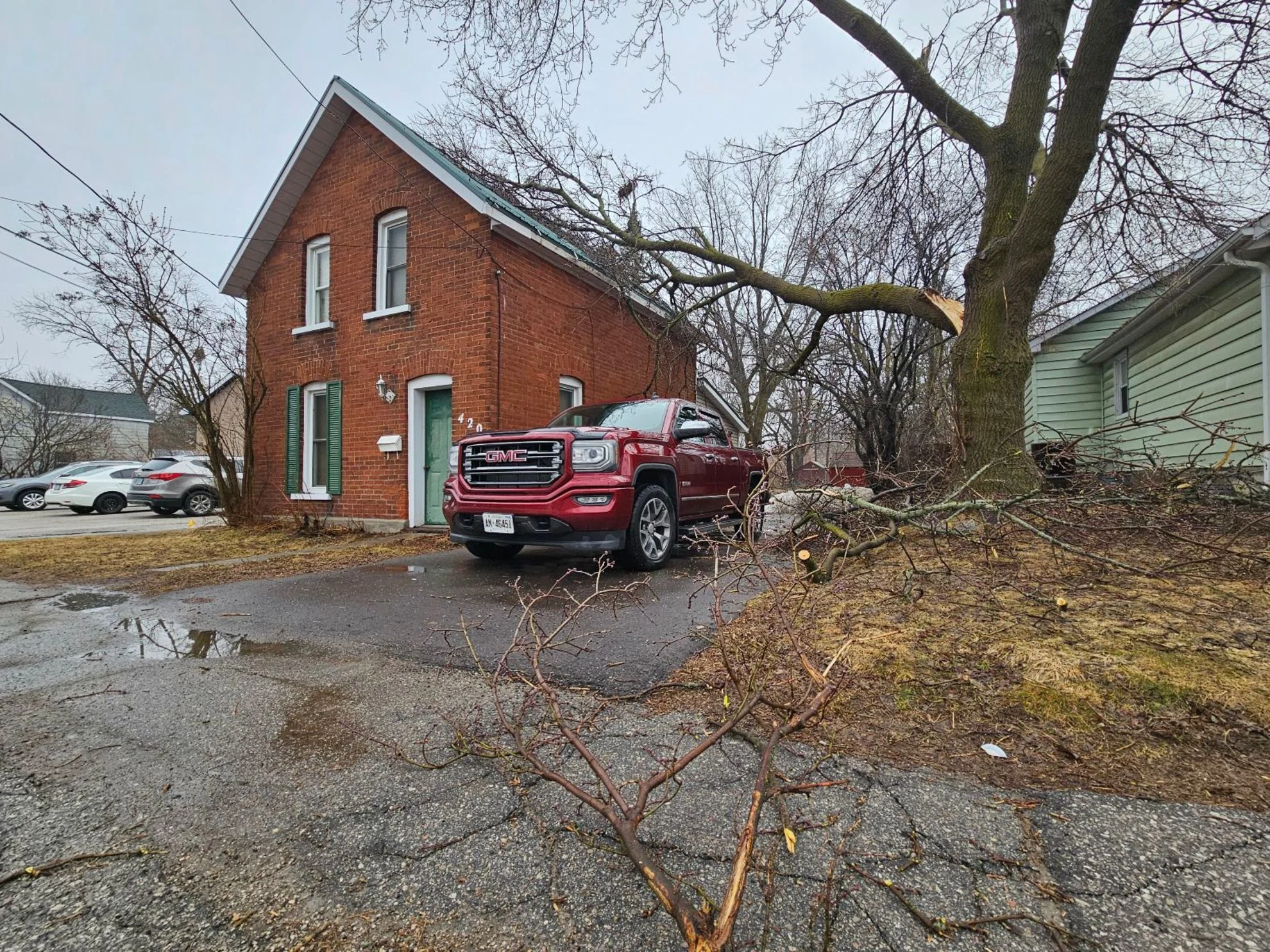 Dave Hodge - Downed trees in Orillia - April3