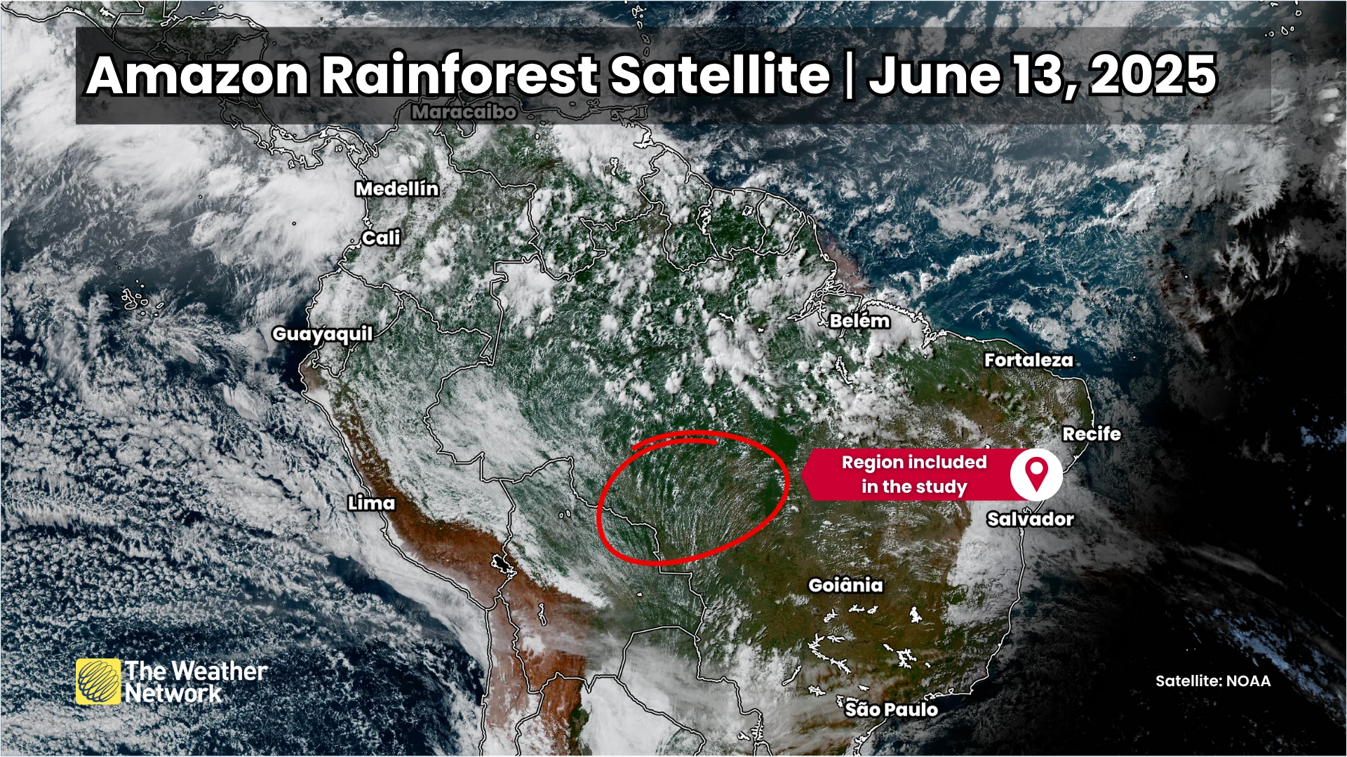 Amazon Rainforest Deforestation Satellite