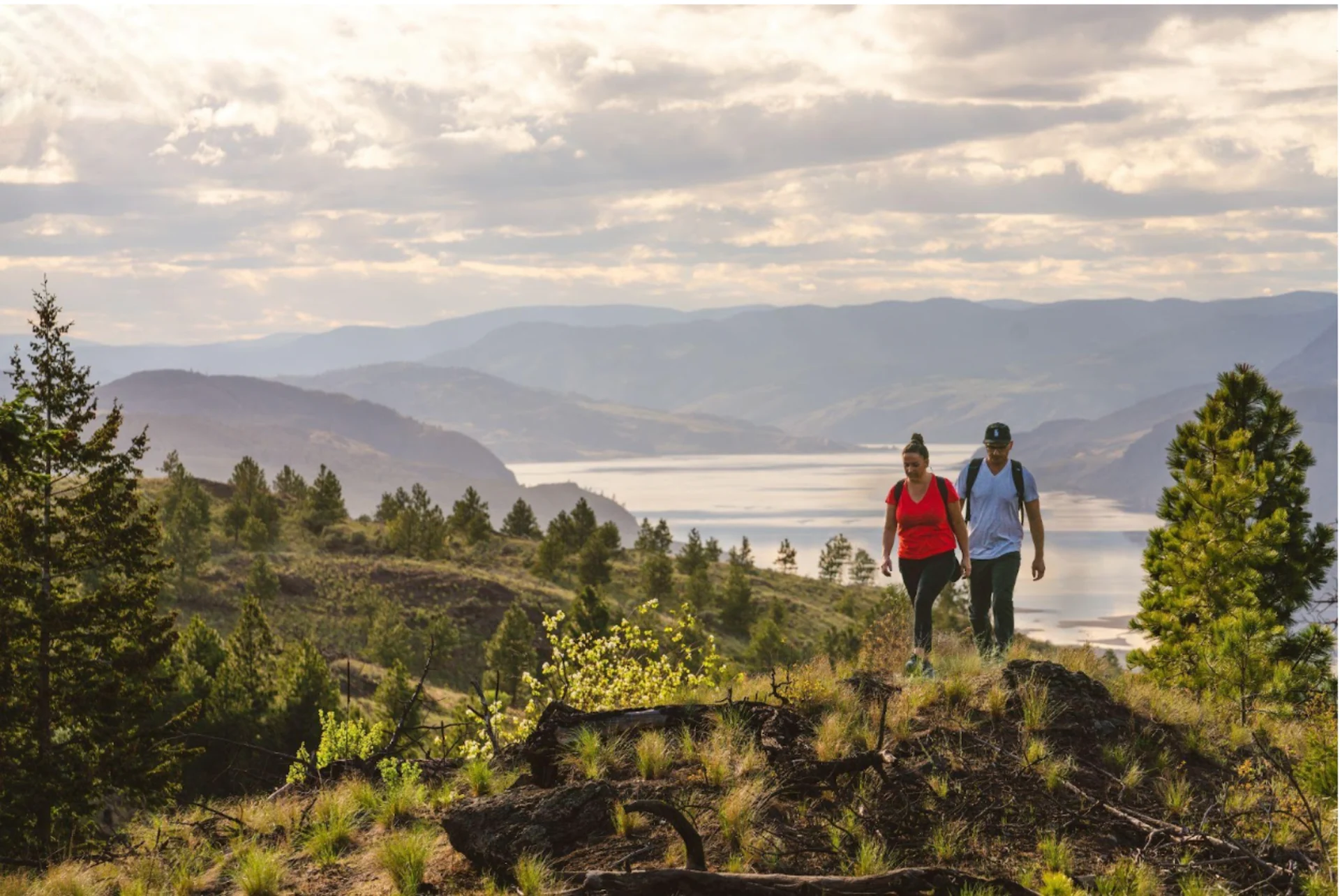 Golden Sunshine in Canada’s Spring Playground