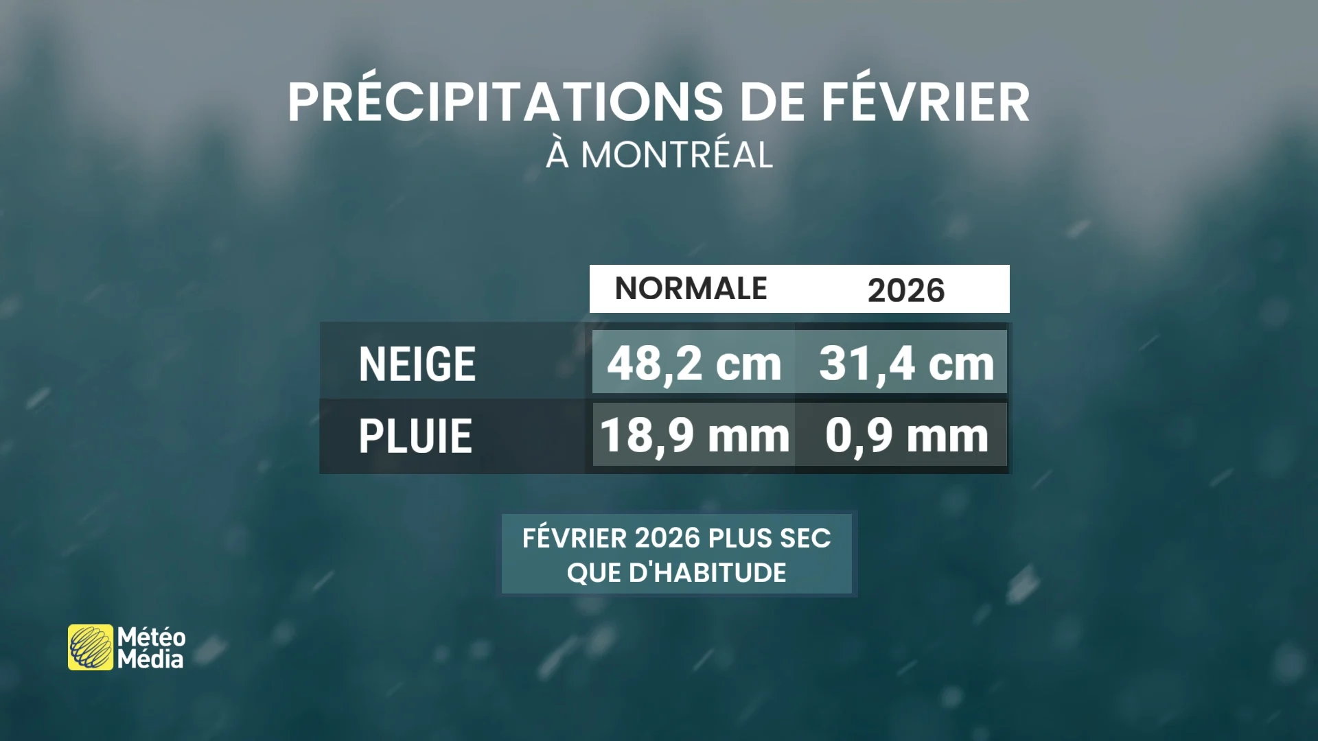 BILAN4
