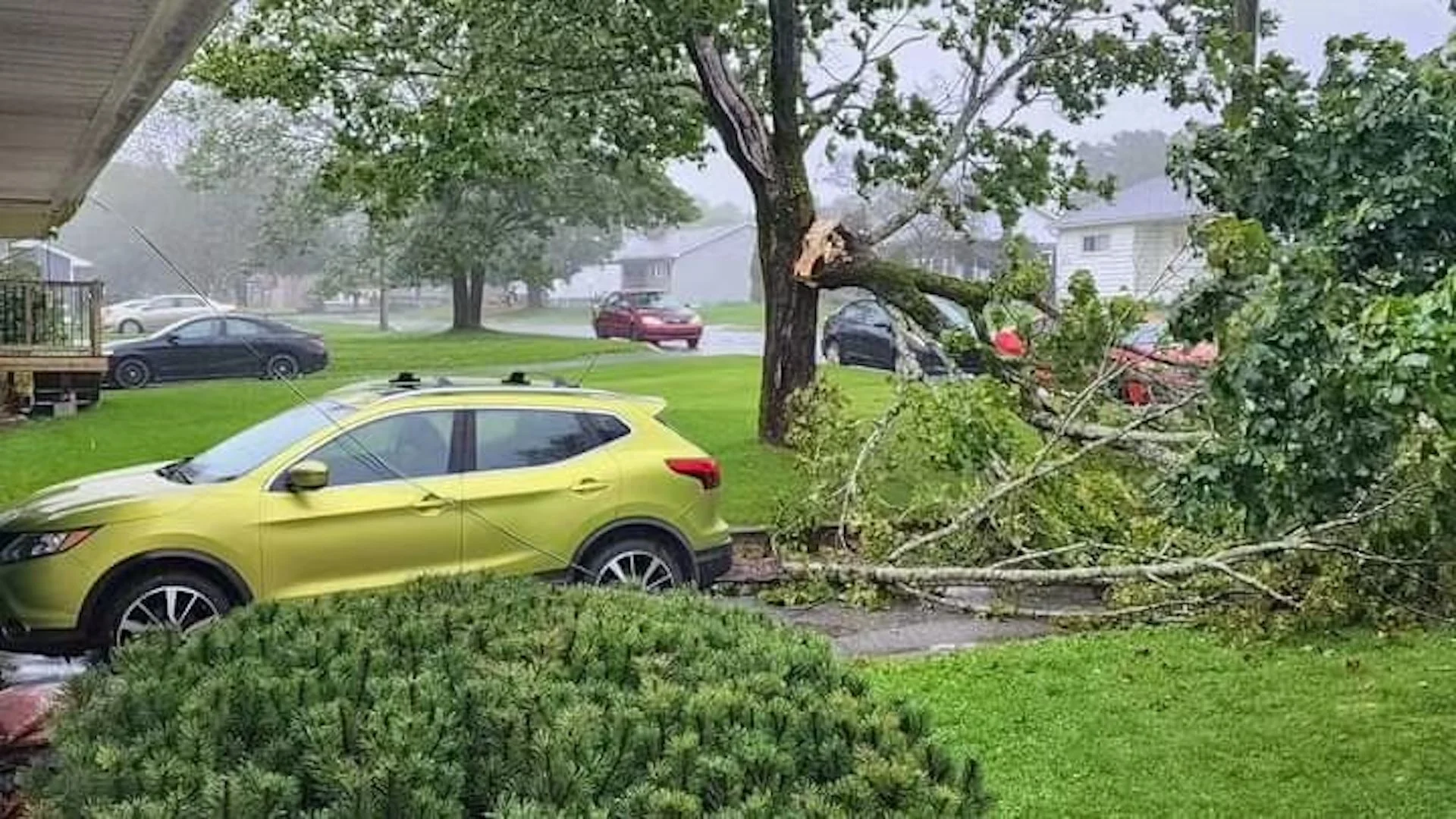 Saint John, N.B., tree damage from Lee Sept. 16, 2023/UGC