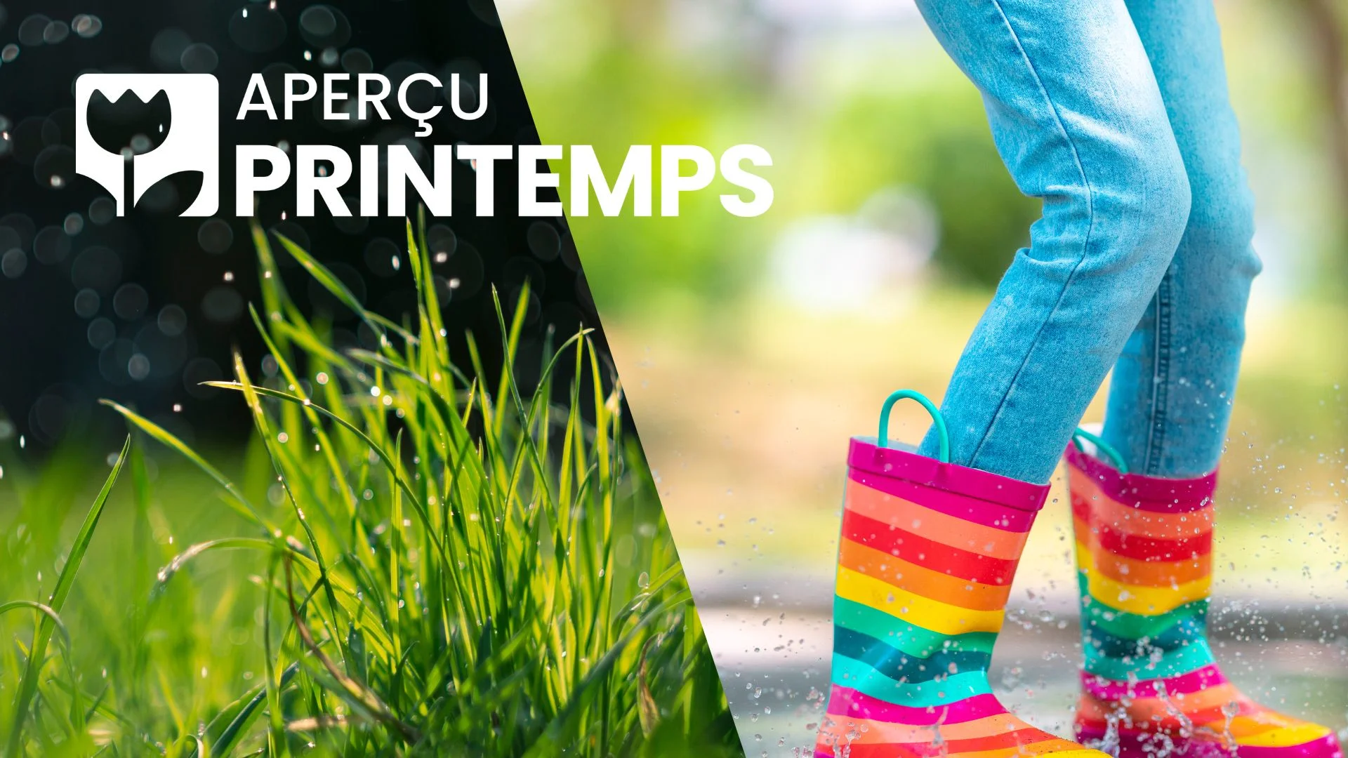 Le printemps en dents de scie, une finale spectaculaire au Nouveau-Brunswick