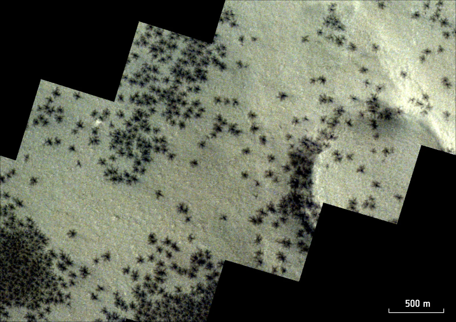 Spiders on Mars as seen by ESA's ExoMars Trace Gas Orbiter