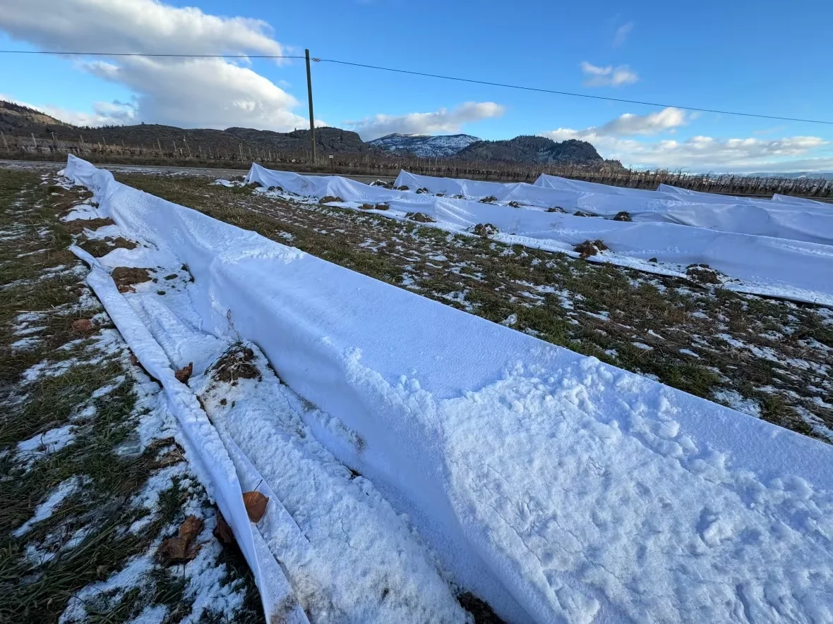geotextile-fabric/Tom Popyk/CBC